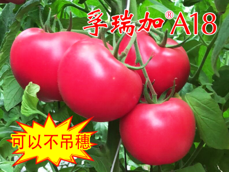 球友会体育:小小西葫芦闯出大商场